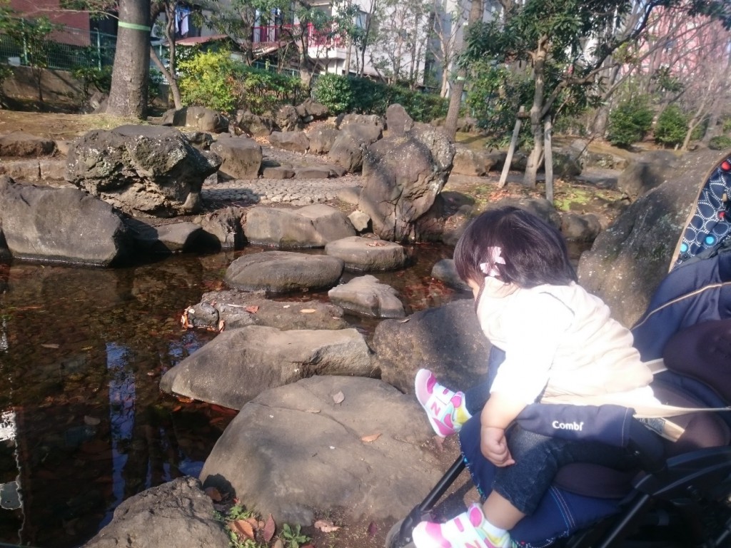 oyokogawa_pond
