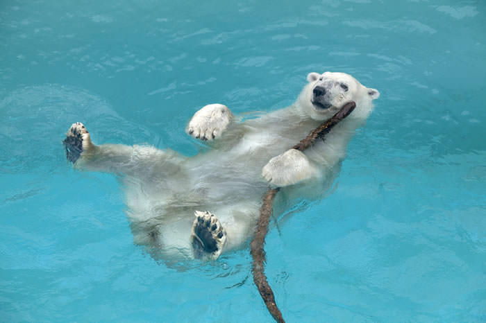 男鹿水族館