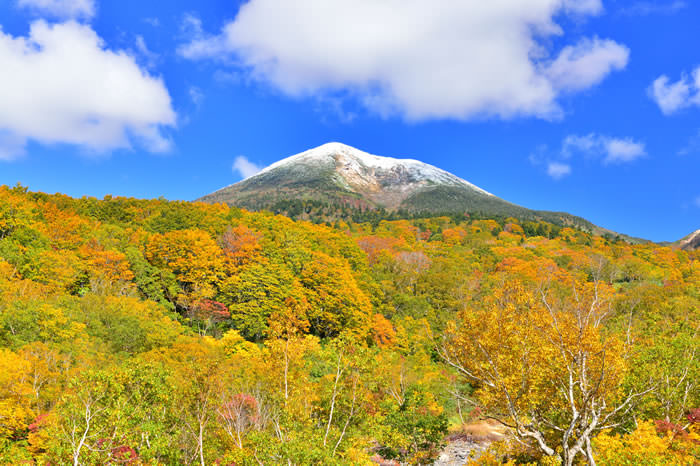 八甲田山の紅葉