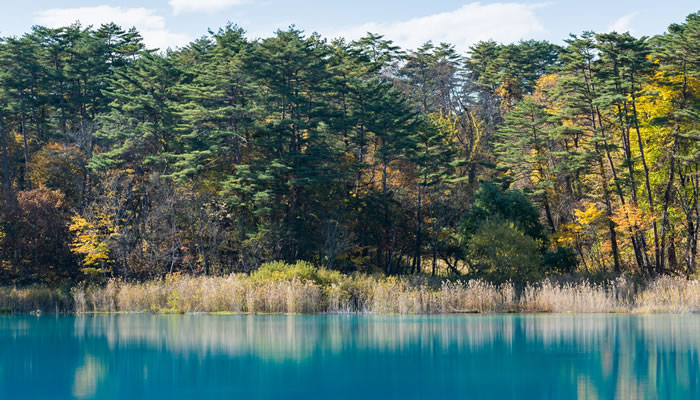 福島県