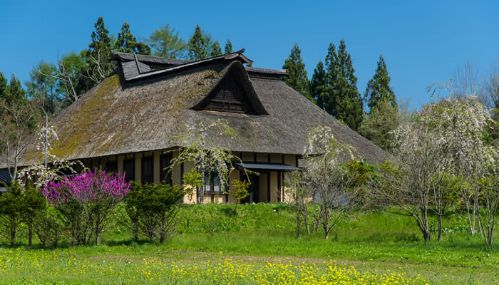 岩手県