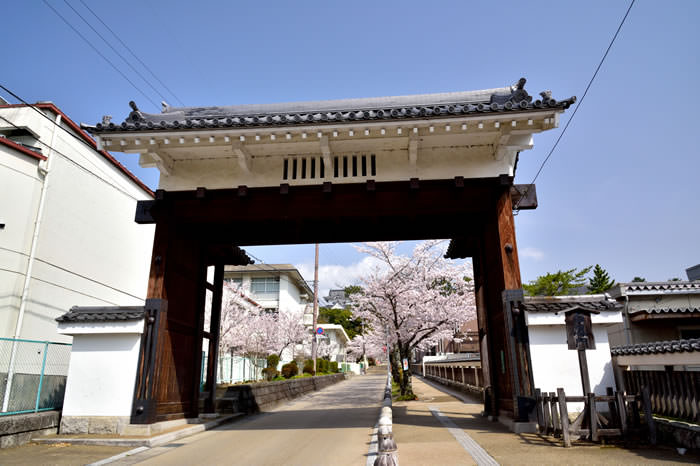 春の伊賀上野城　白鳳門