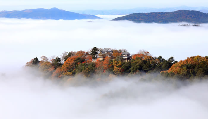 岡山県