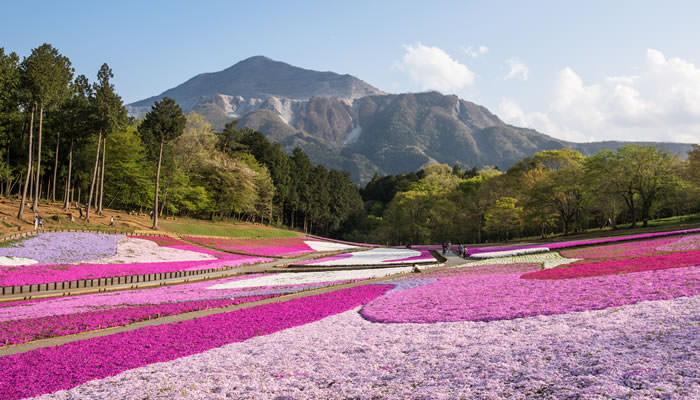 埼玉県