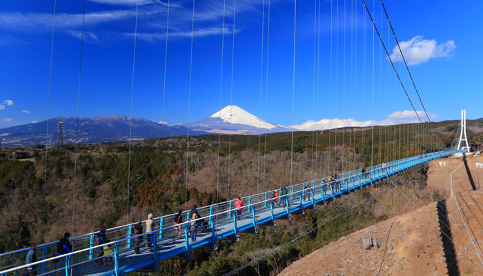 静岡県