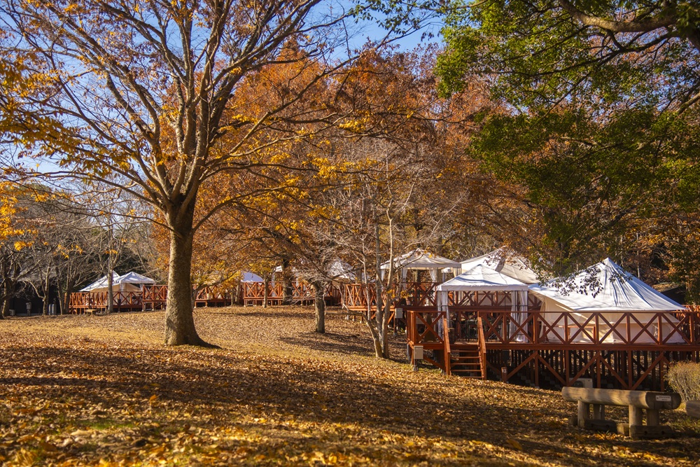 こもれびテラス