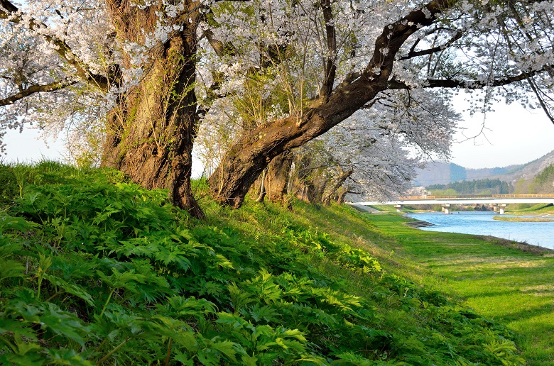 高畑の田園風景