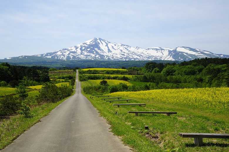 秋田へ観光バス旅行！おすすめの休憩スポット「にしめ　はまなすの里」