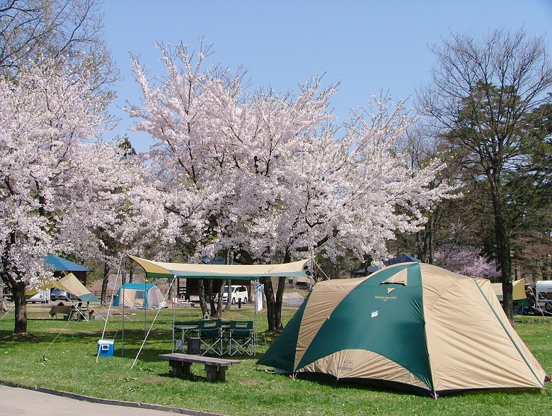 ふれあいの森キャンプ場