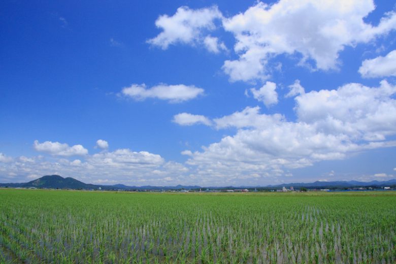 秋田へ観光バス旅行！おすすめの休憩スポット「五城目」