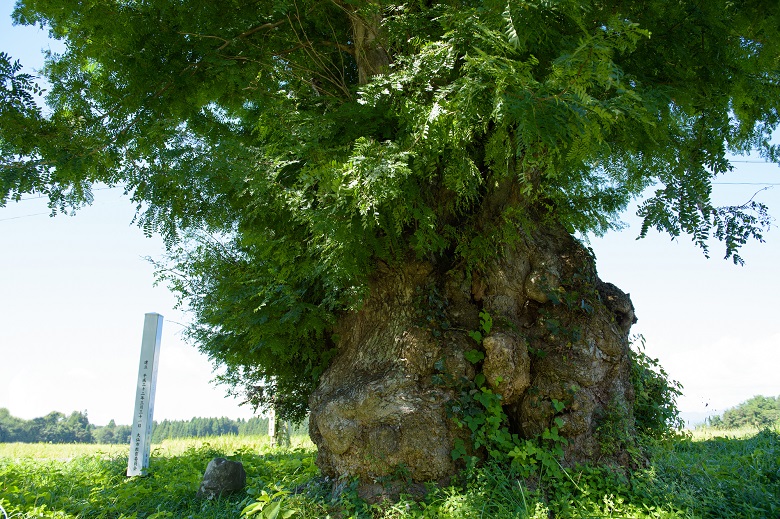 秋田へ観光バス旅行！おすすめの休憩スポット「かみおか」