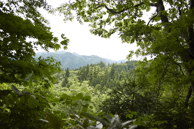 矢立峠