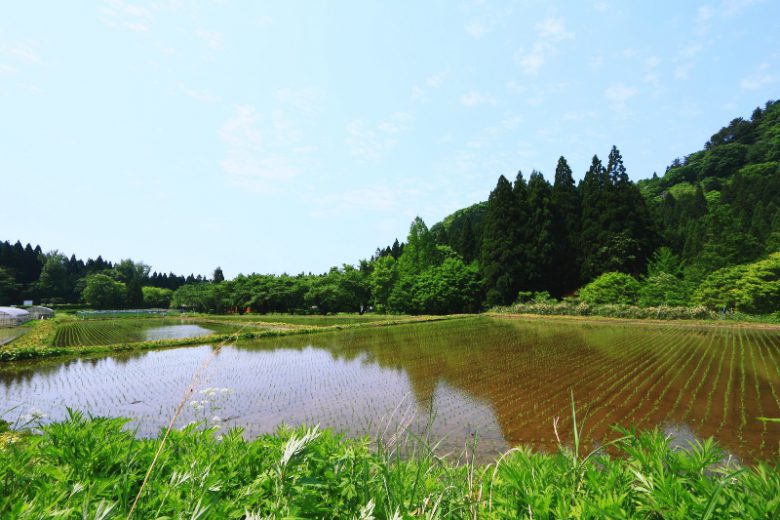 秋田へ観光バス旅行！おすすめの休憩スポット「みねはま」