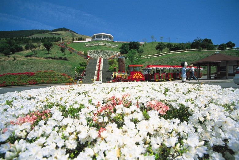 鹿児島へ観光バス旅行！おすすめの休憩スポット「霧島　神話の里公園」