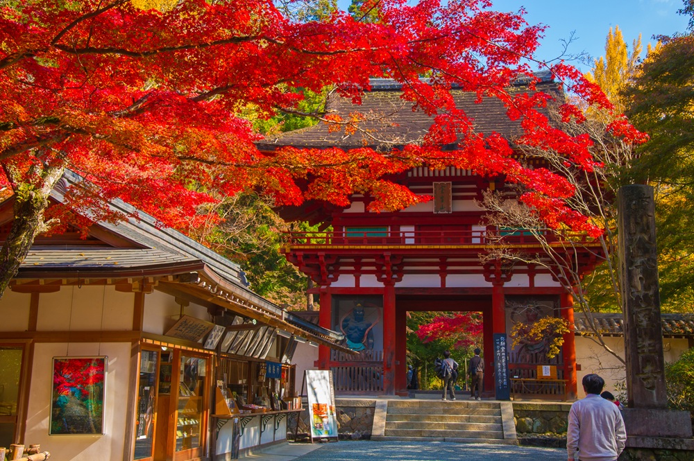 室生寺の仁王門