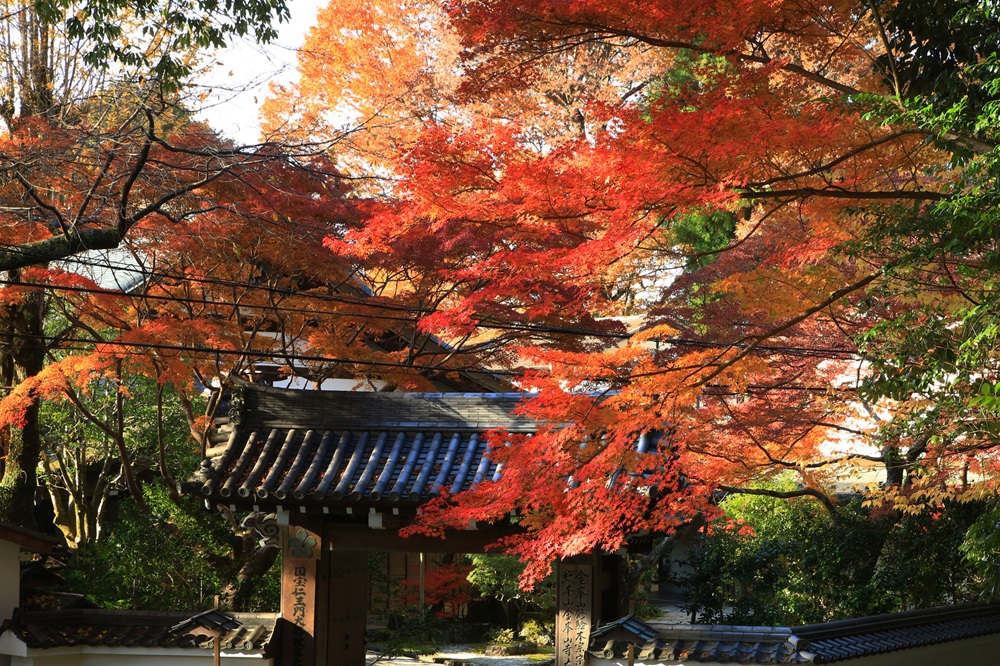 吉野山の紅葉