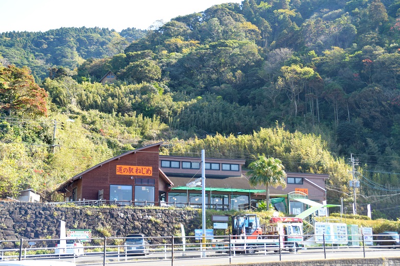 鹿児島へ観光バス旅行！おすすめの休憩スポット「根占（ねじめ）」