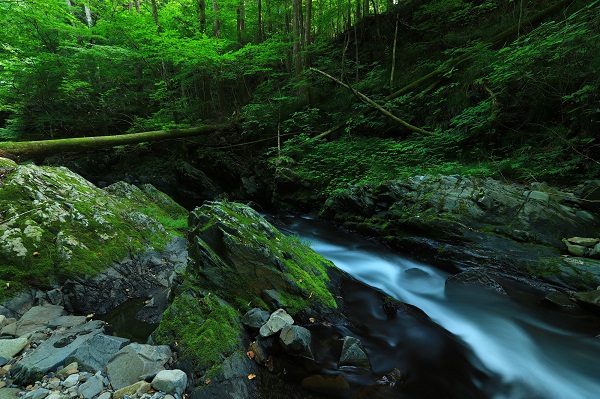 岩手県「久慈渓流」