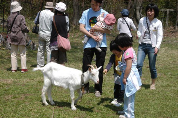 青森へ観光バス旅行！おすすめの休憩スポット「しんごう」