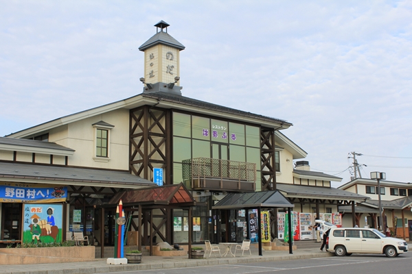 道の駅のだ