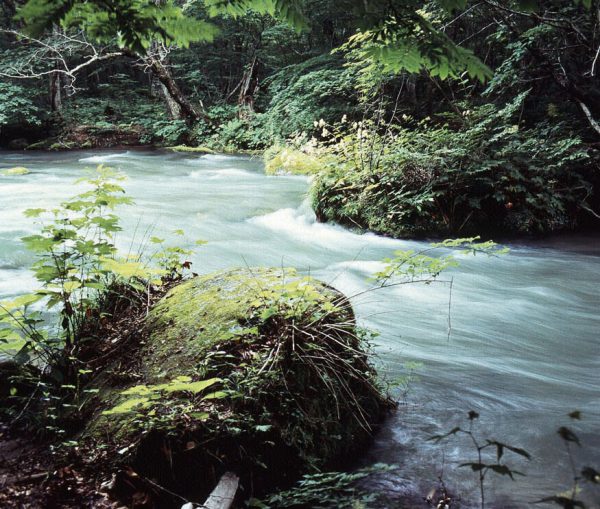 奥入瀬渓谷の源流水