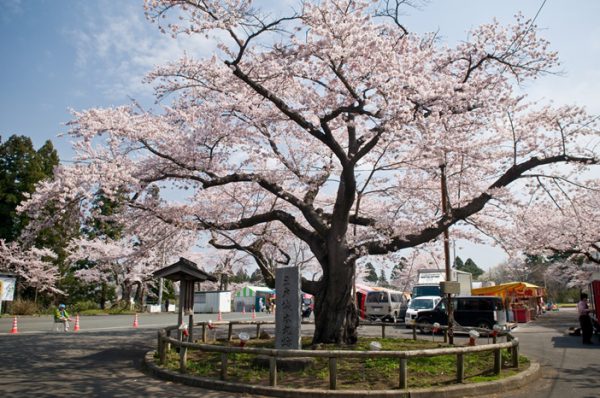 城山公園