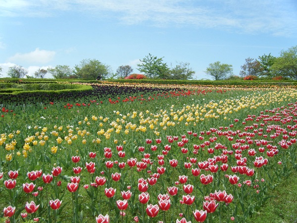 岩手県「館が森アーク牧場」