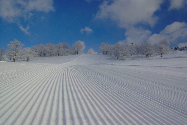 十和田温泉スキー場
