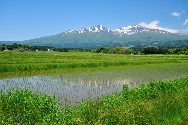 山形へ観光バス旅行！おすすめの休憩スポット「鳥海」