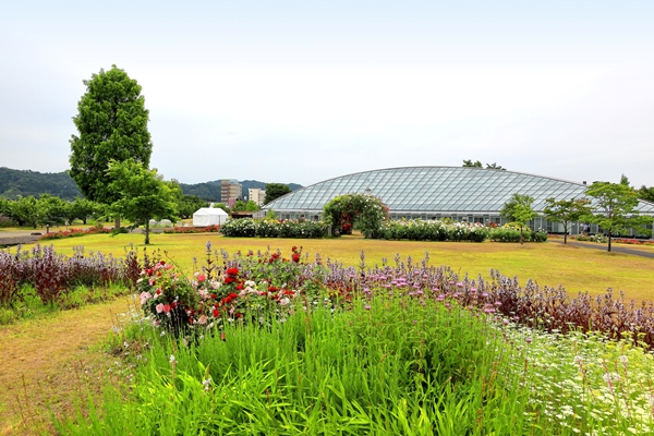 最上川ふるさと総合公園