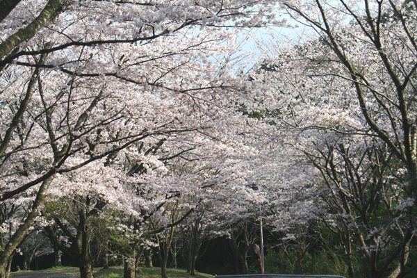 うぐいすの里