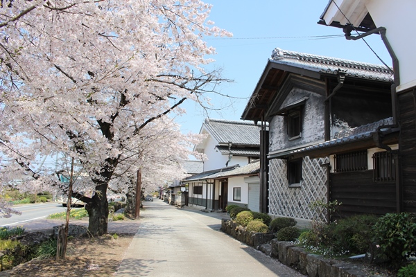 雄川堰（大堰）通り（群馬県甘楽町小幡）