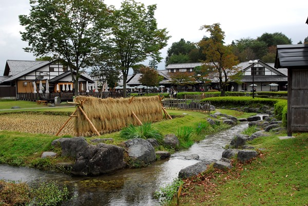 川場田園プラザ　田んぼ