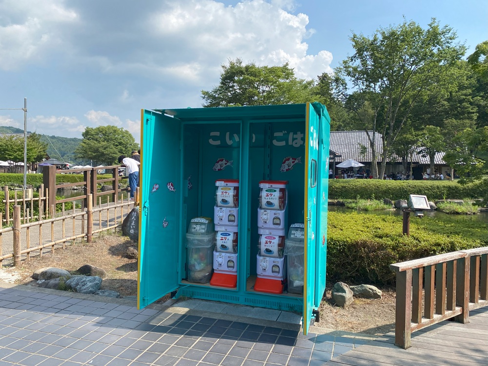 こいのえさやり