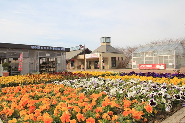 道の駅「にのみや」