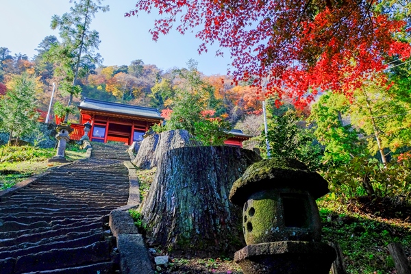 秋の妙義神社