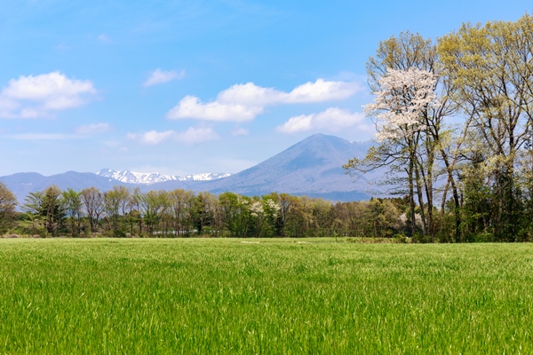 那須高原