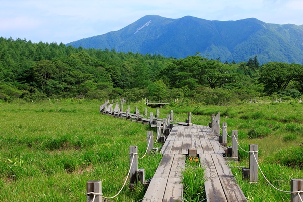 沼原湿原