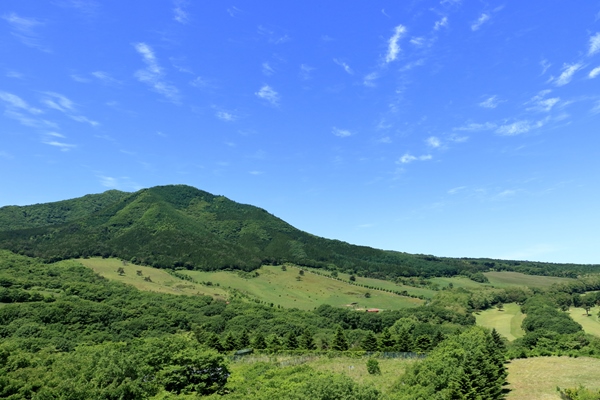 小野小山