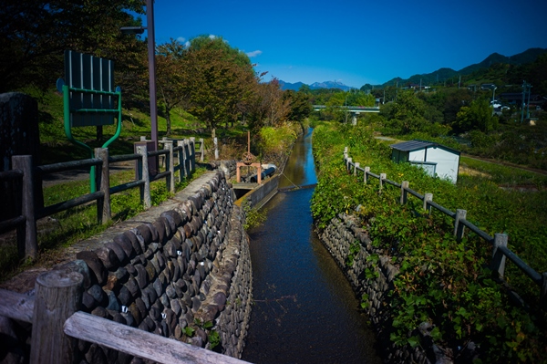 矢瀬親水公園