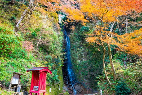 紅葉の名所「養老渓谷」