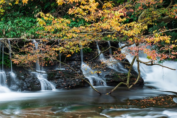 富山県「宮島峡」