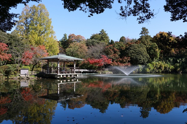 宮崎県「高岡古城公園」