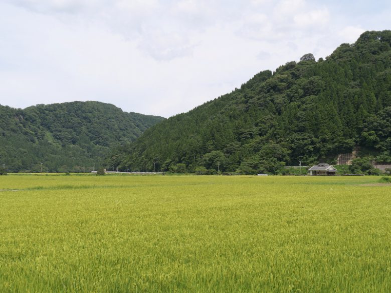 石川へ観光バス旅行！おすすめの休憩スポット「一向一揆の里」