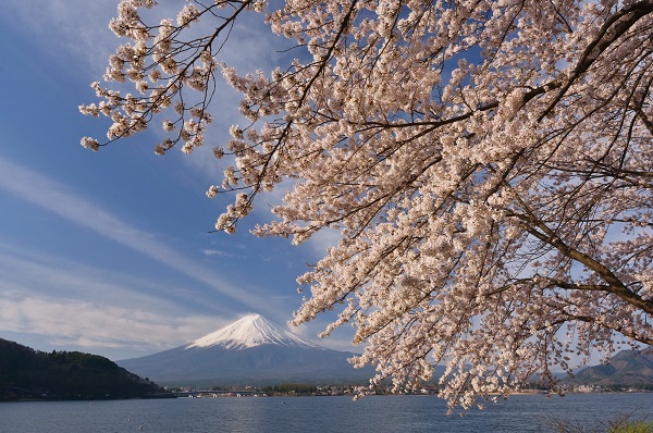 山梨県「河口湖」