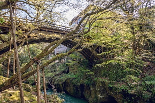 こおろぎ橋