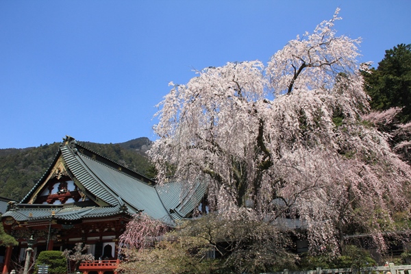 身延山久遠寺　奥之院思親閣祖師堂