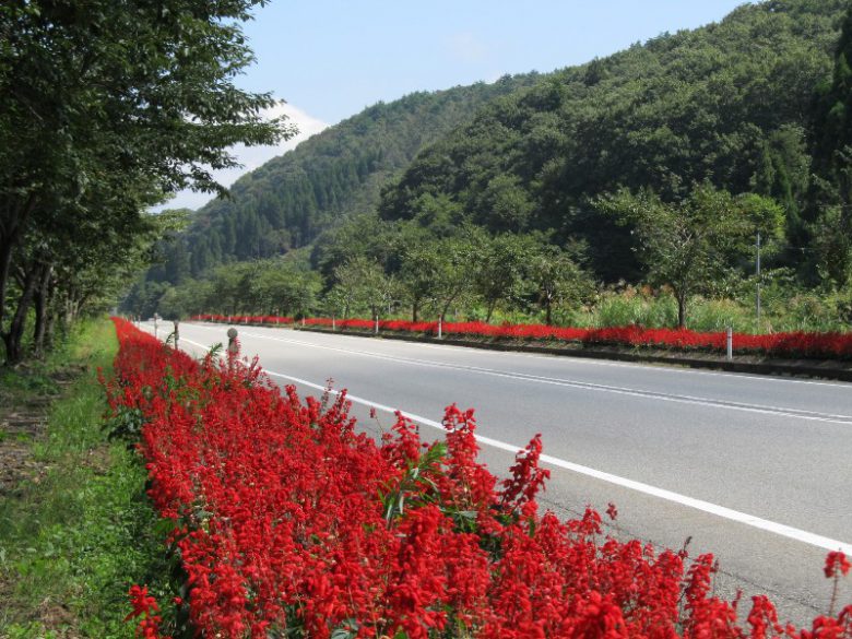 石川へ観光バス旅行！おすすめの休憩スポット「桜峠」