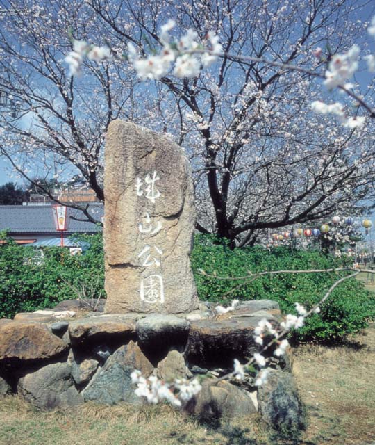 城山公園