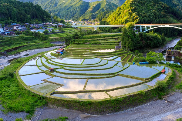 和歌山県「あらぎ島」